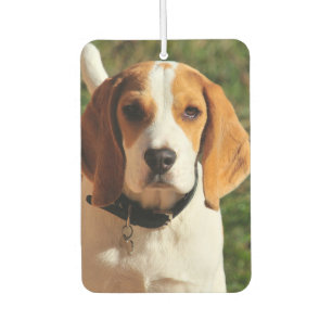 Beagle Car Air Freshener