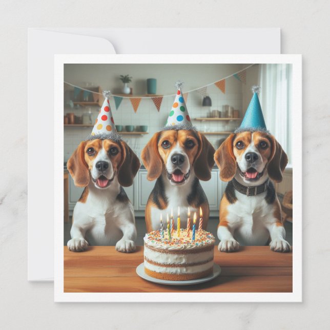 Beagle card, Beagle birthday, Beagle  Invitation (Front)