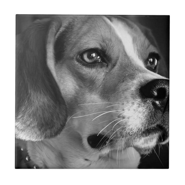 Beagle Ceramic Tile (Front)