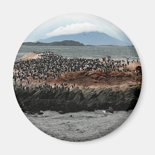 Beagle Channel Magnet (Front)