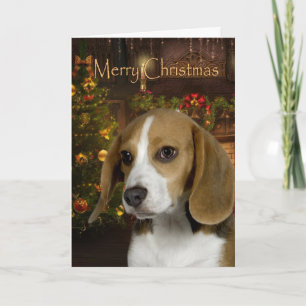 Beagle Christmas Card