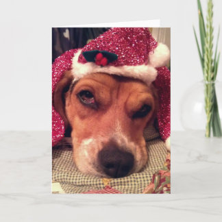 Beagle Christmas Card