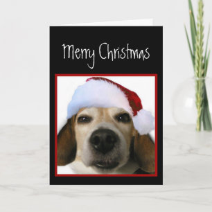 Beagle Christmas Card