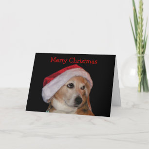 Beagle Christmas Card (Santa)