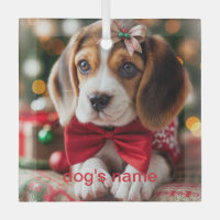 Beagle Christmas