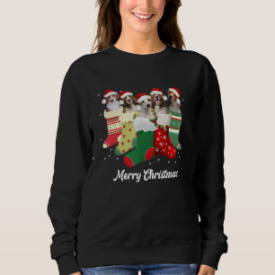 Beagle Christmas In Socks Cute Beagle Dog Christma Sweatshirt