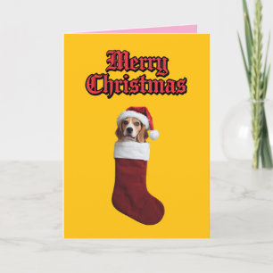 Beagle Christmas Stocking Holiday Card