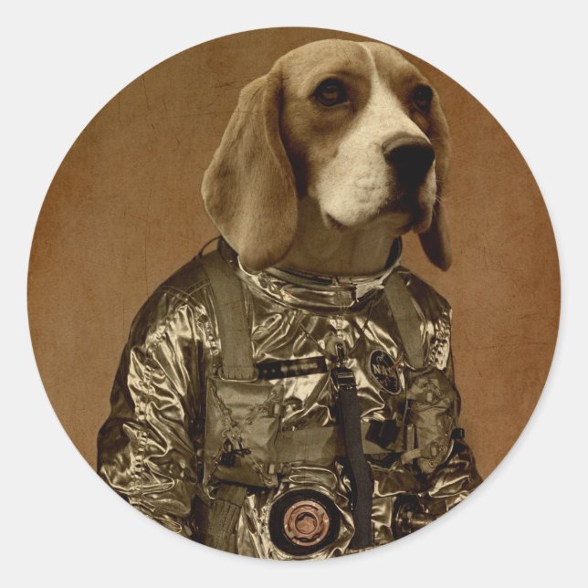 Beagle Classic Round Sticker (Front)