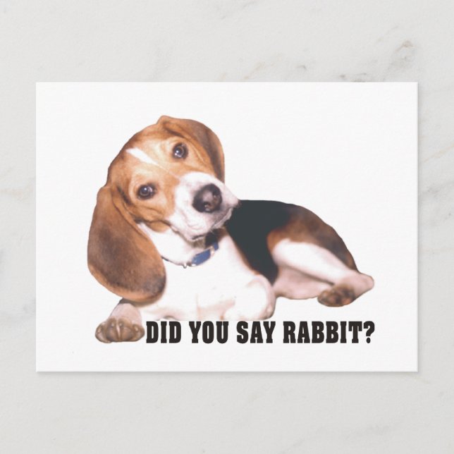 Beagle Did You Say Rabbit? Postcard (Front)