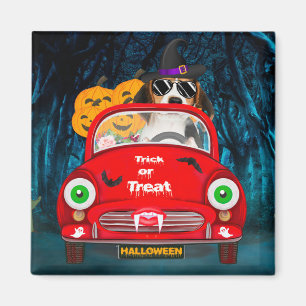 Beagle Dog Driving Car Scary  Magnet