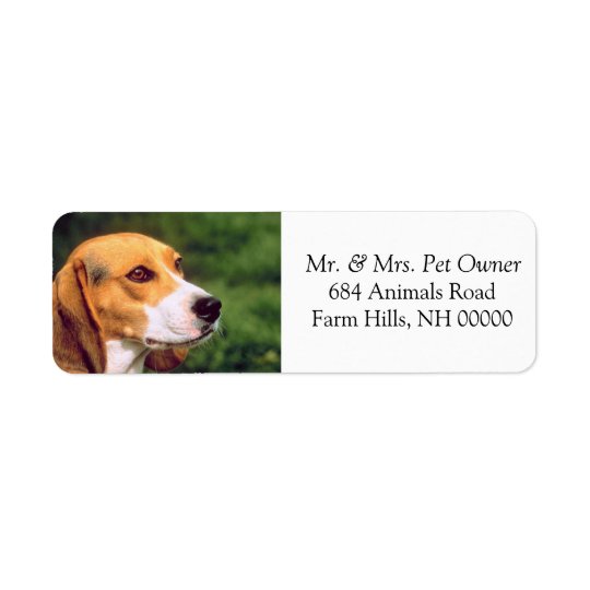 Beagle Dog Face Return Address Mailing Stickers Return Address Label