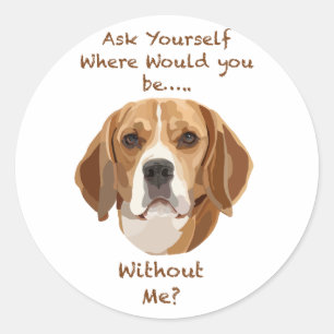 Beagle Dog Hand Drawn Digital Art Adorable Classic Round Sticker