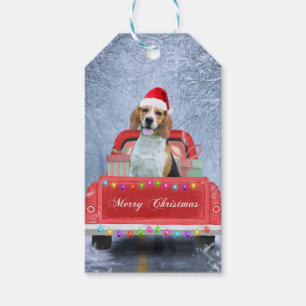 Beagle Dog in Snow sitting in Christmas Truck Gift Tags
