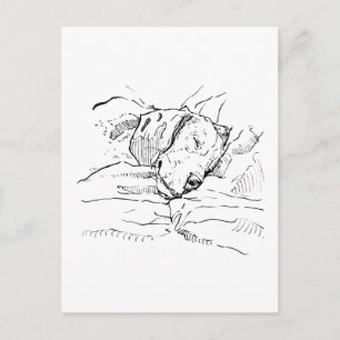 Beagle Dog Lover Illustration Postcard