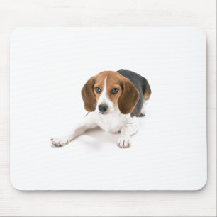 Beagle Dog Mouse Pad