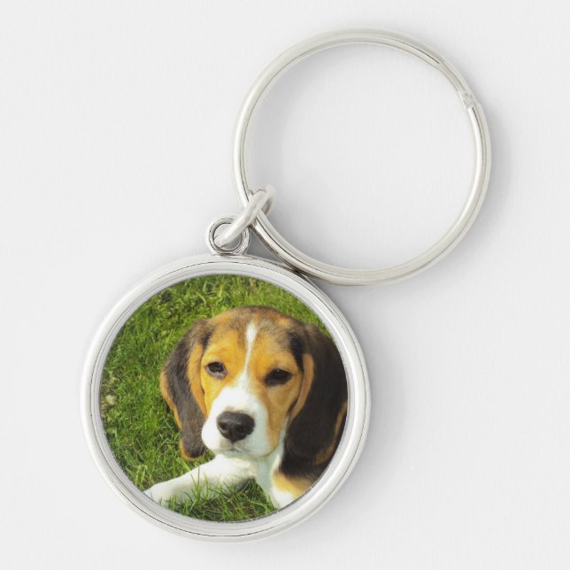 Beagle Dog Pet Animals Peace Love Key Ring (Front)
