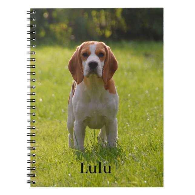 Beagle Dog Photo and Name Personalised Notebook (Front)
