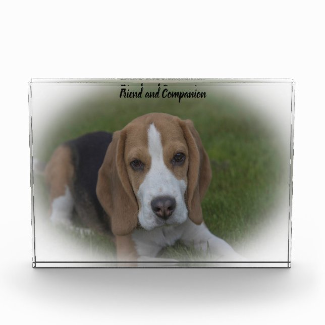Beagle Dog Photo Block (Front)