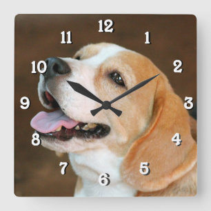 Beagle Dog Square Wall Clock