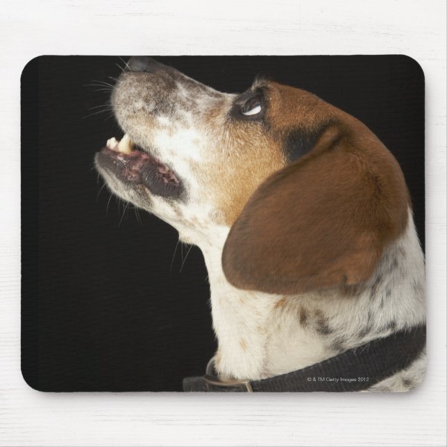 Beagle dog with black collar profile mouse pad (Front)