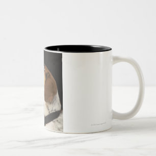 Beagle dog with black collar profile Two-Tone coffee mug