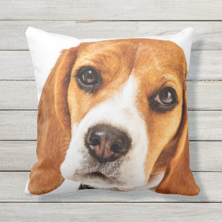 BEAGLE FACE FOCUS OUTDOOR CUSHION