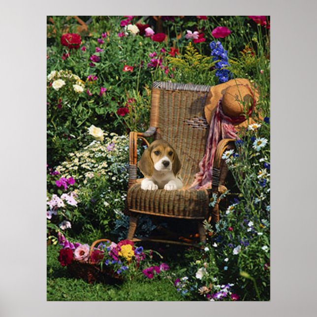 Beagle Garden Poster (Front)