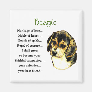 Beagle Gifts Magnet