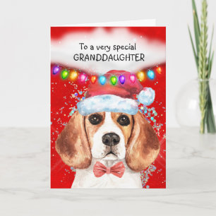 Beagle granddaughter cute Xmas wishes Card