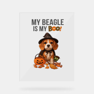 Beagle Halloween Costume My Beagle is My Boo Dog Acrylic Sign