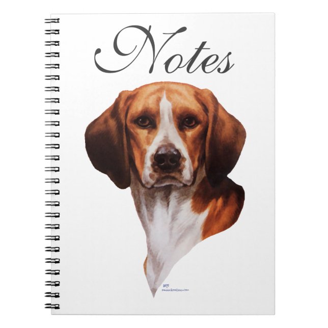 Beagle Head Study Notebook (Front)