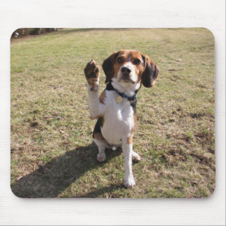 Beagle High Five Mouse Pad