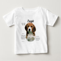 Beagle History; All About Beagles