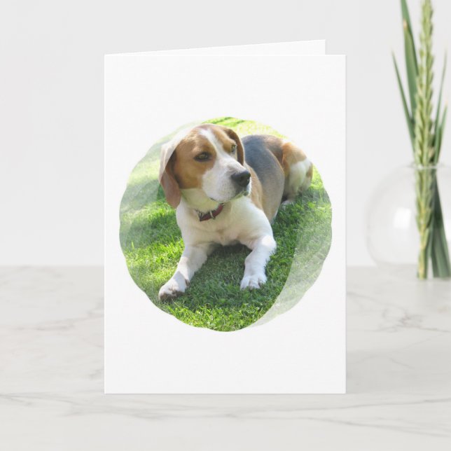 Beagle Hound Dog Greeting Card (Front)