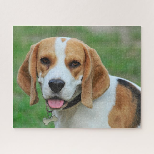 Beagle Hound Dog Jigsaw Puzzle (Horizontal)
