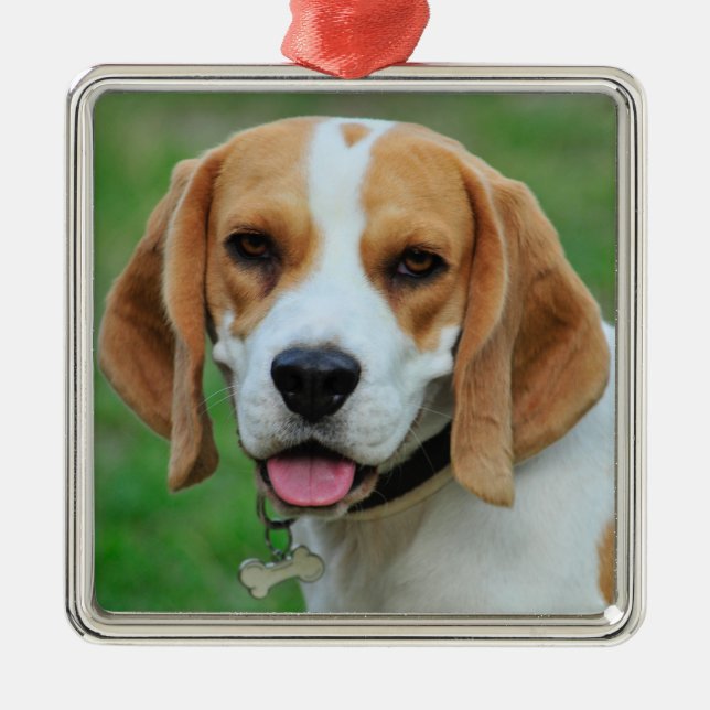 Beagle Hound Dog Metal Ornament (Front)
