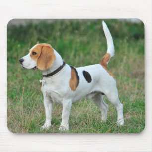 Beagle Hound Dog Mouse Pad