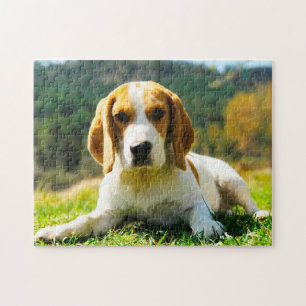 Beagle Hound Dogs. Jigsaw Puzzle