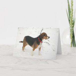 Beagle Hound Hunting In Snow Greeting Card Cooper