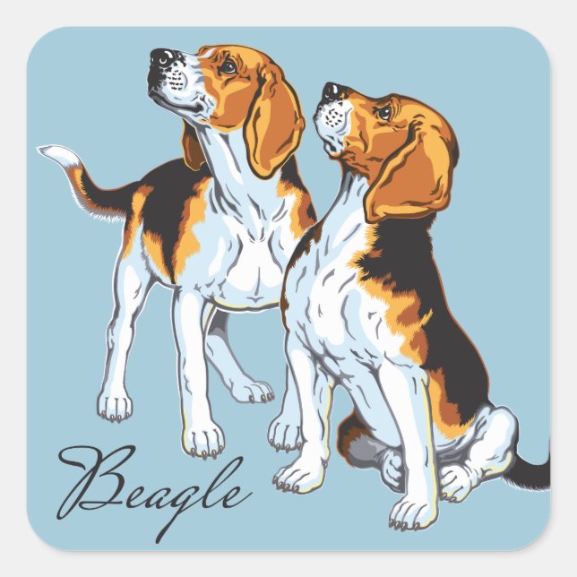 beagle hound square sticker (Front)