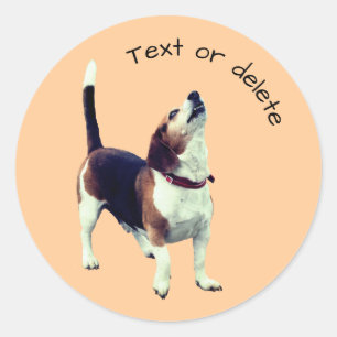 Beagle Howling Dog Personalised Classic Round Sticker