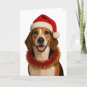 Beagle in a Santa hat Christmas card