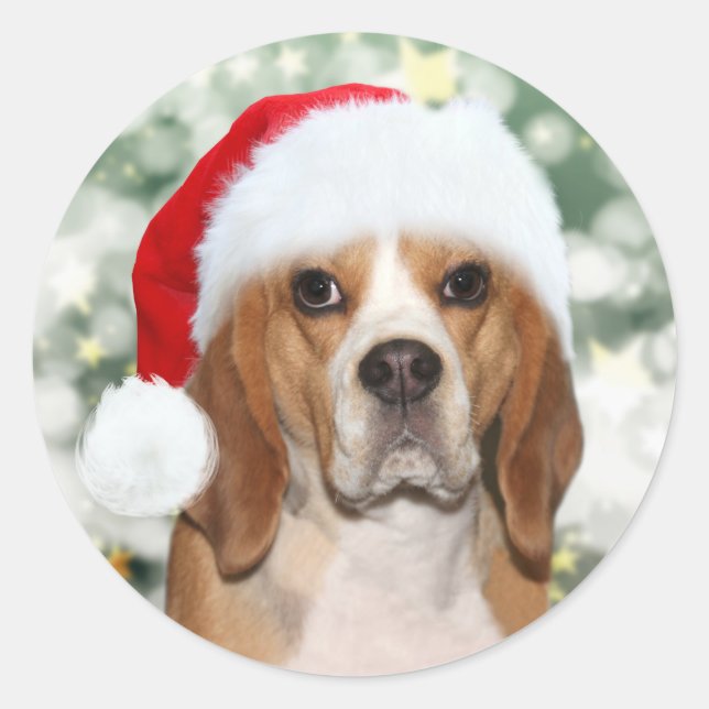 Beagle in Christmas Santa hat Classic Round Sticker (Front)