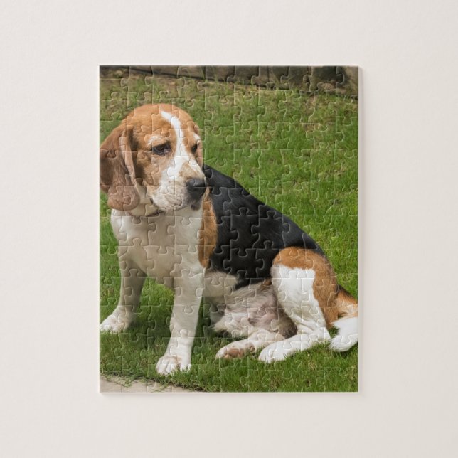 Beagle Jigsaw Puzzle (Vertical)