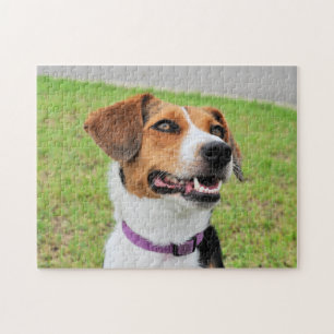 Beagle Jigsaw Puzzle