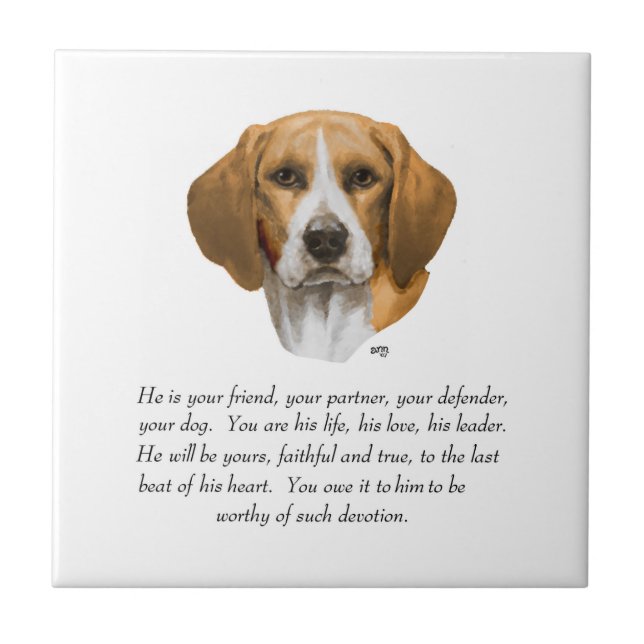 Beagle Keepsake MALE Tile (Front)