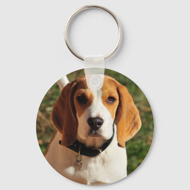 Beagle Key Ring (Front)