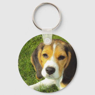 Beagle Keychain