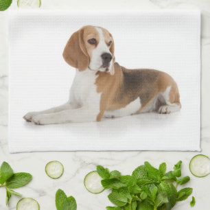 Beagle Kitchen Towel