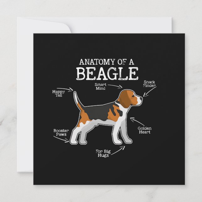 Beagle Lovers/ Anatomy Of A Beagle   (Front)